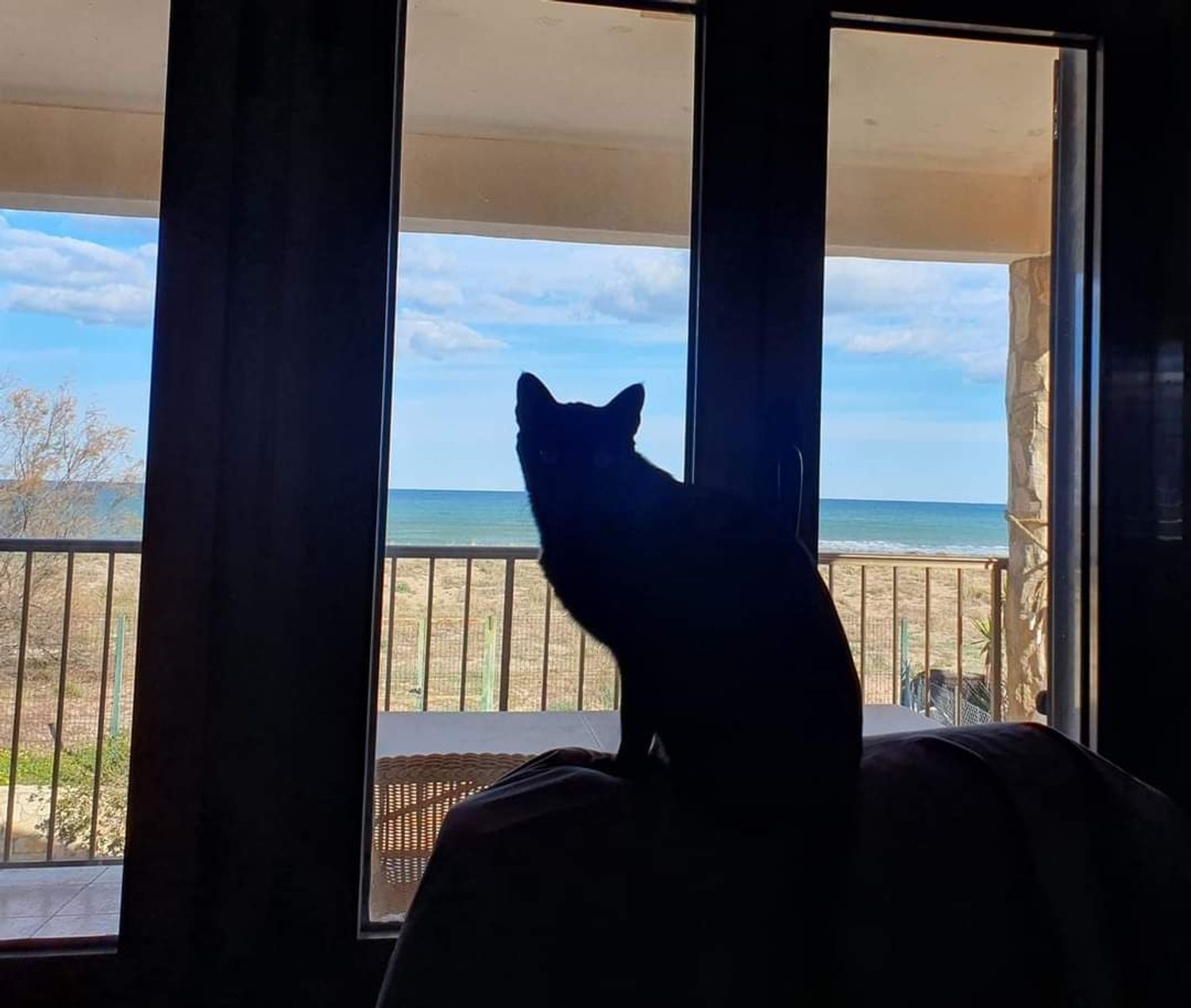 Casa independiente en sector 2b, 2 - Foto 22