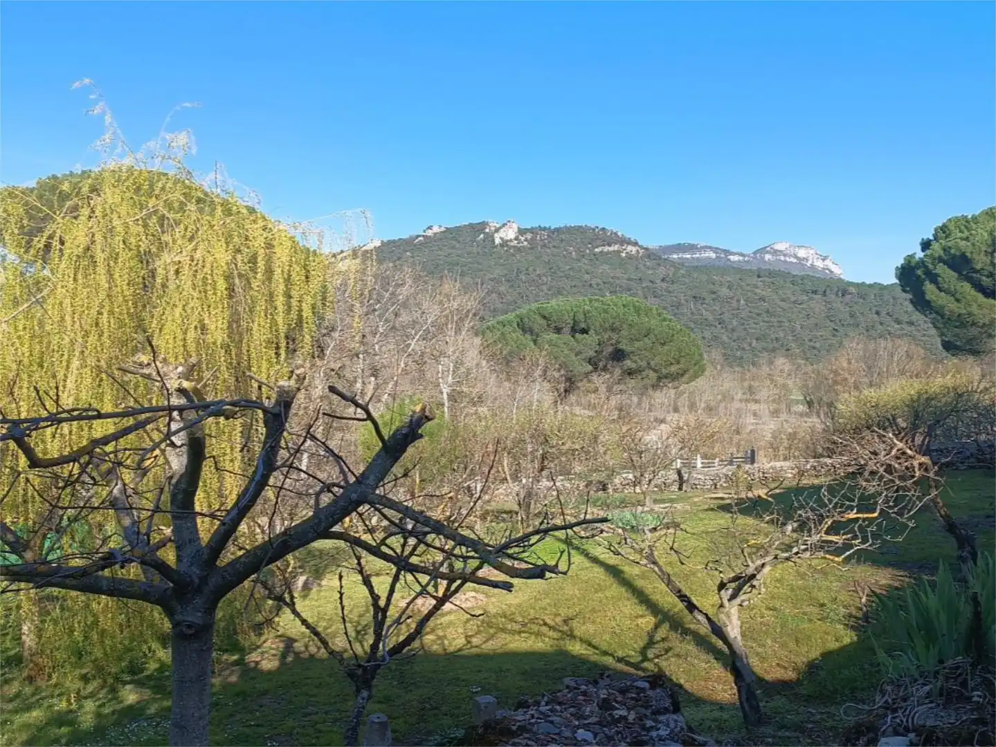 Chalet en  Calle Barruso 2 - Foto 40