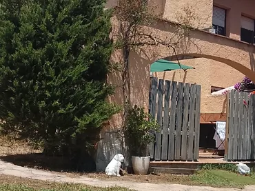 Casa adosada en  Avinguda de Casalot 43 - Foto 2
