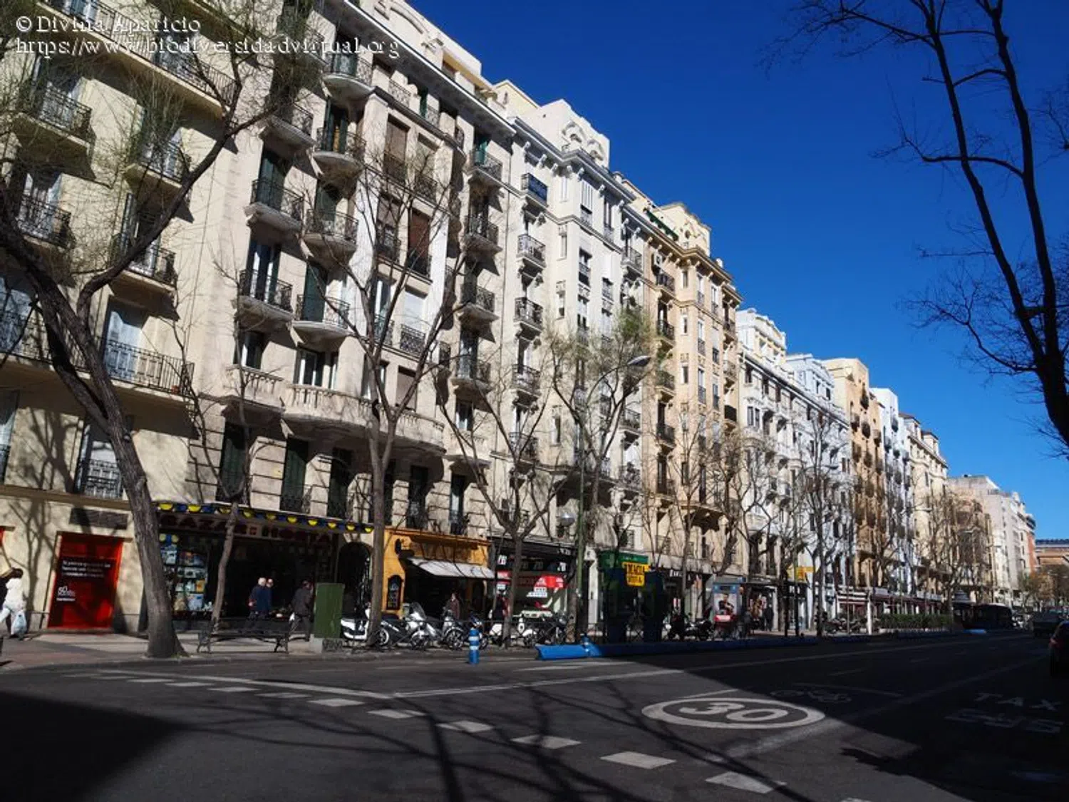 Piso en calle del Conde de Peñalver, 56 - Foto 27