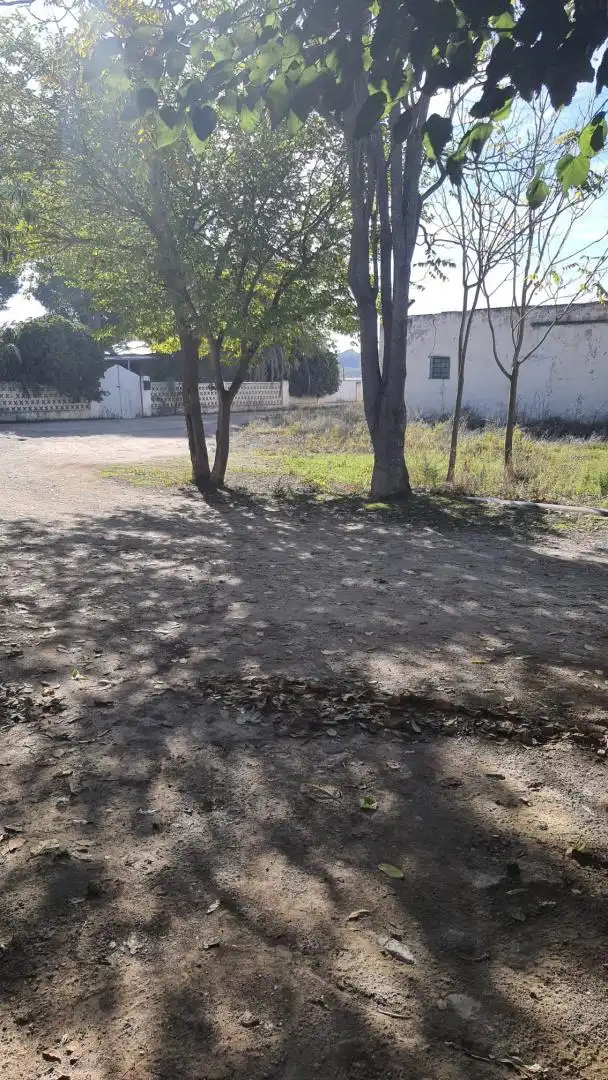 Finca rústica en  Paraje Casas de Menor 67 - Foto 3