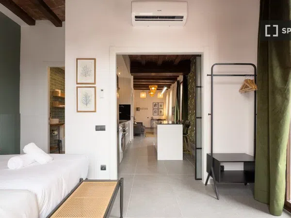 Estudio en Passatge de Mas de Roda, El Poblenou - Foto 17