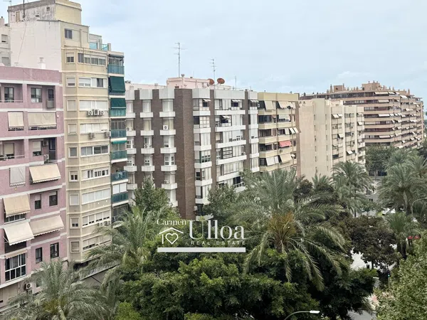 Piso en Avenida Oscar Espla, Benalúa - Foto 23