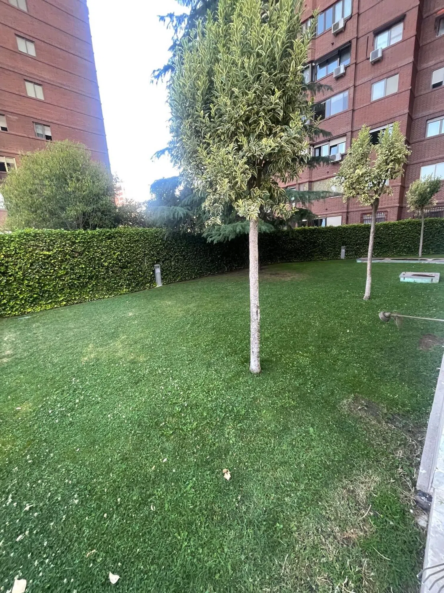 Piso en calle de Melchor Fernández Almagro, 11 - Foto 20