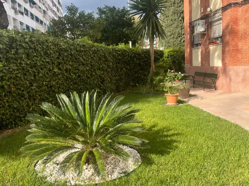 Apartamento en  Calle Núñez de Balboa 4 - Foto 2