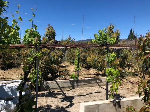 Finca rústica en Vega de granados 5, 5 - Foto 8