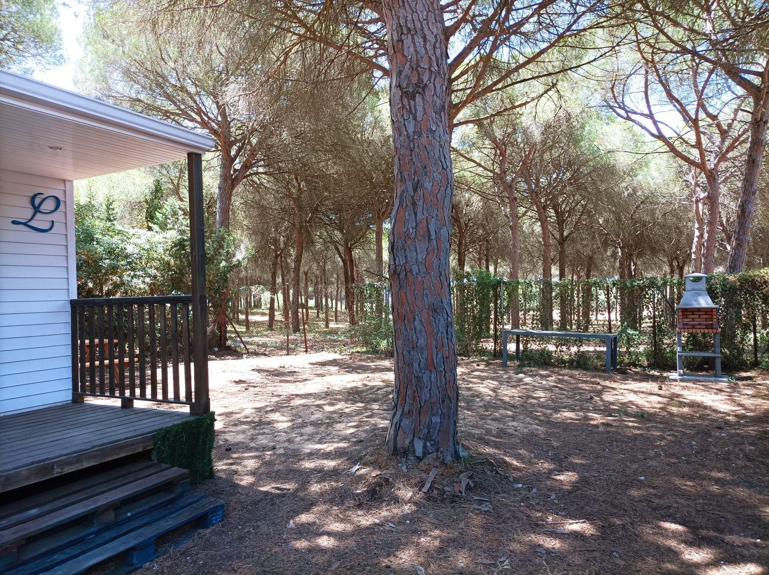 Casa o chalet independiente en Calle Obispo, 4, Cuatro Pinos-El Carmen - Foto 2
