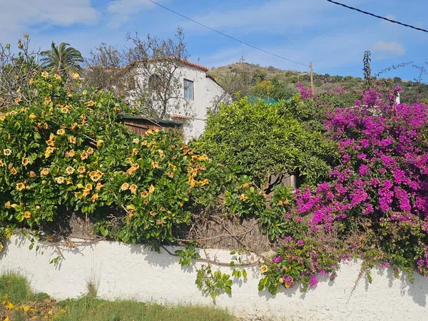 Casa rural en Diseminado Bco Itrabo Pol 25, 131 - Foto 31