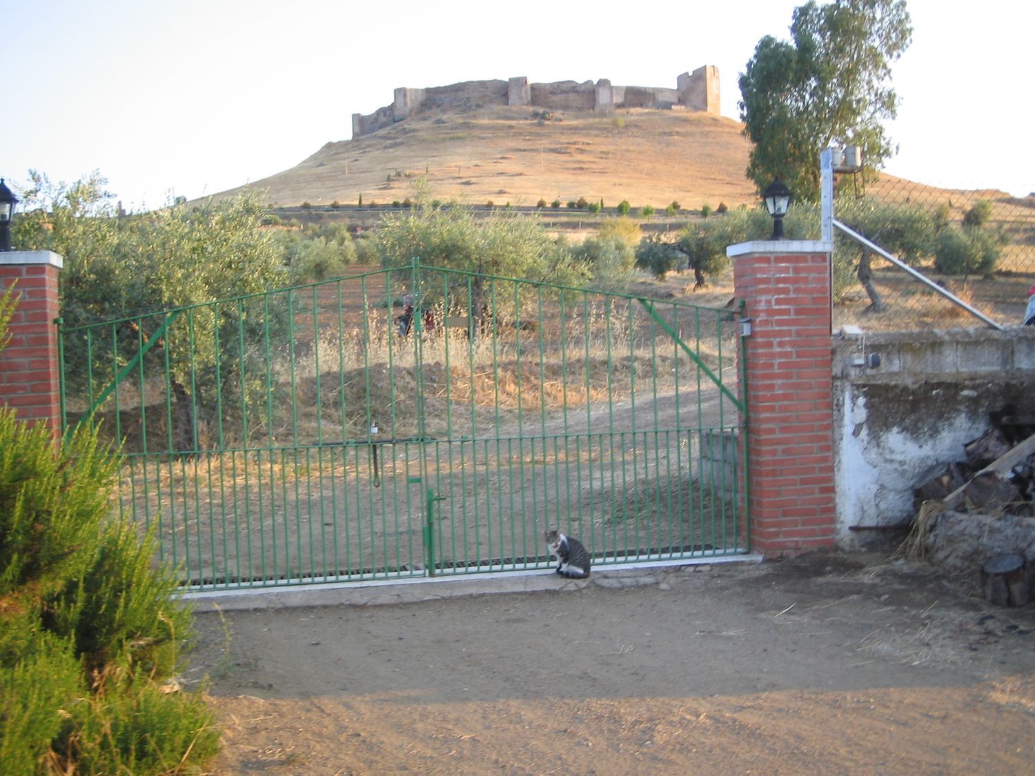 Casa rural en camino s/n - Foto 4