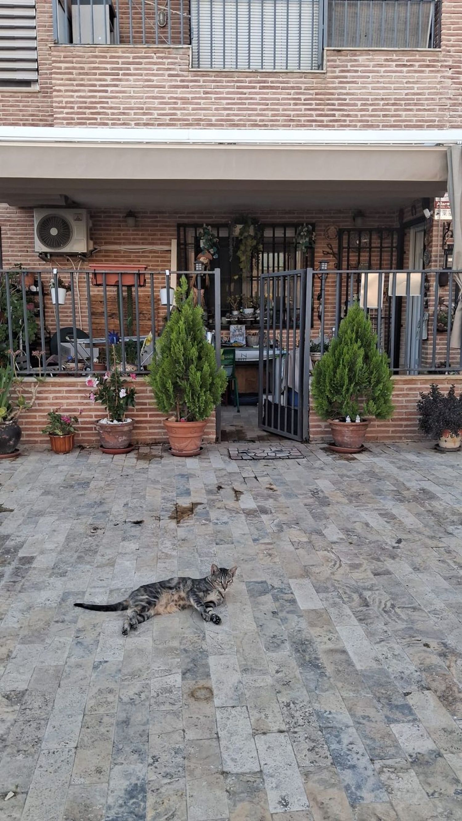 Piso en Calle de Cimballa, 3 - Foto 6