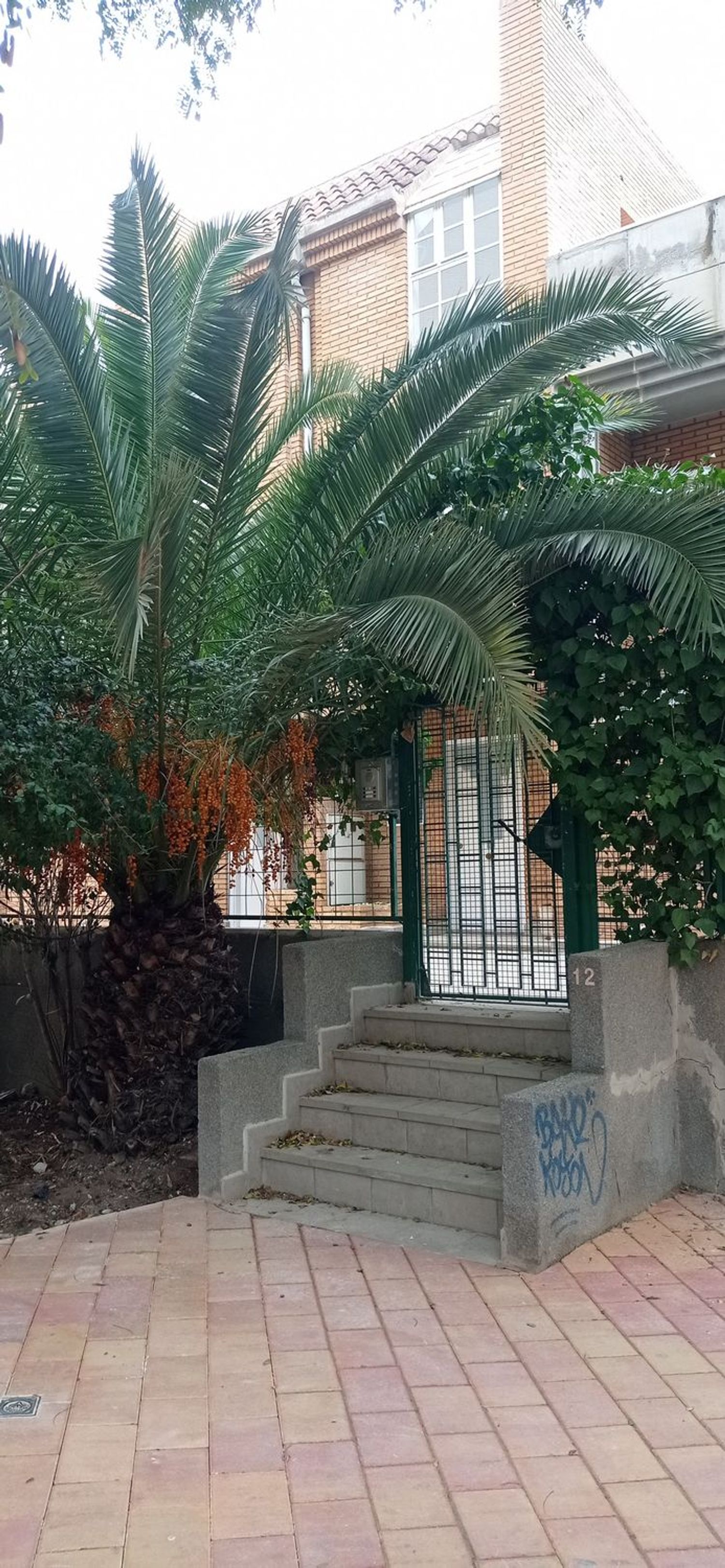 Casa o chalet independiente en Avenida de los Pinos, 12 ,, Santa María de Gracia - Foto 2