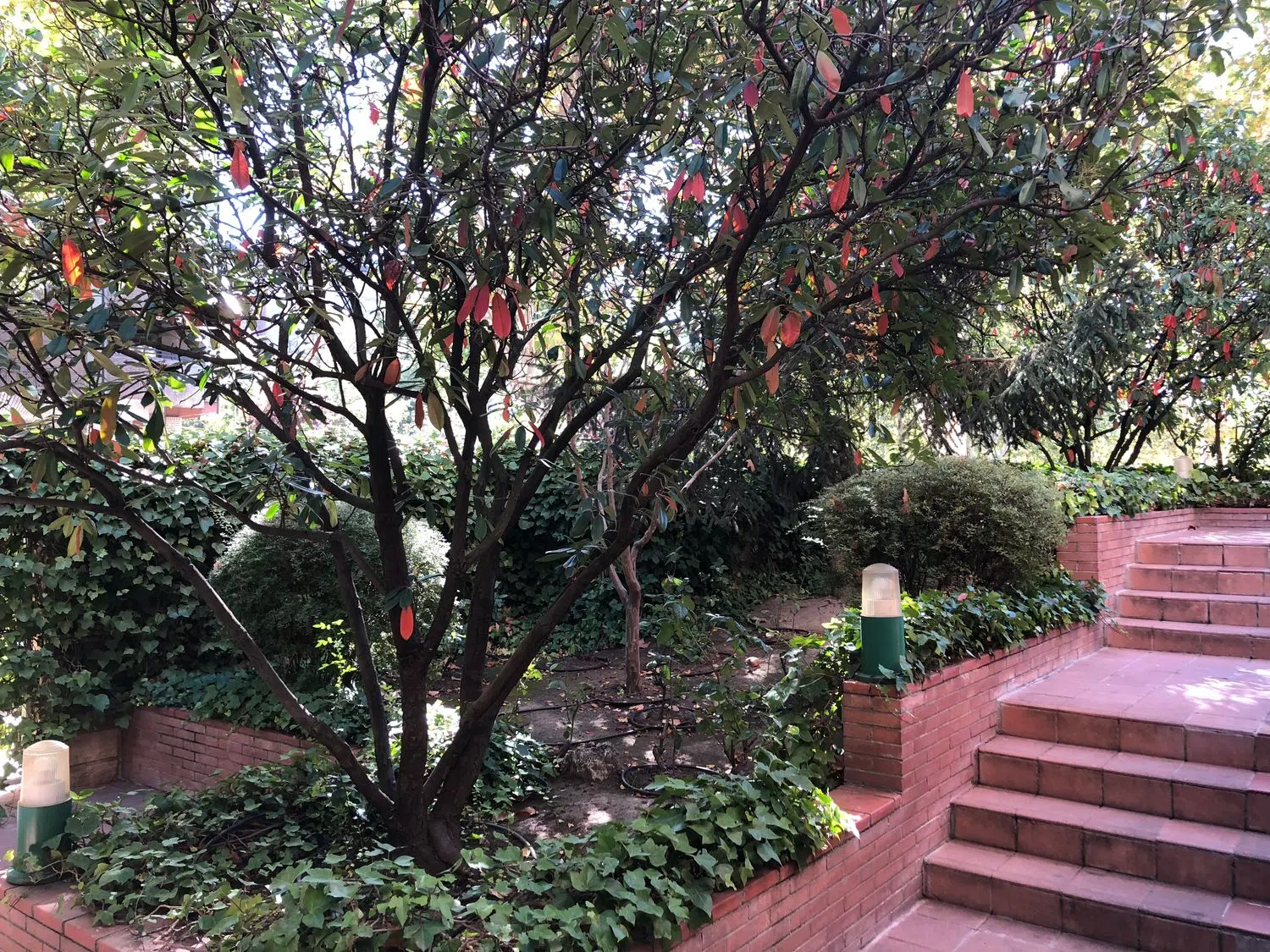 Piso en calle de la Costa Brava, 30 - Foto 26