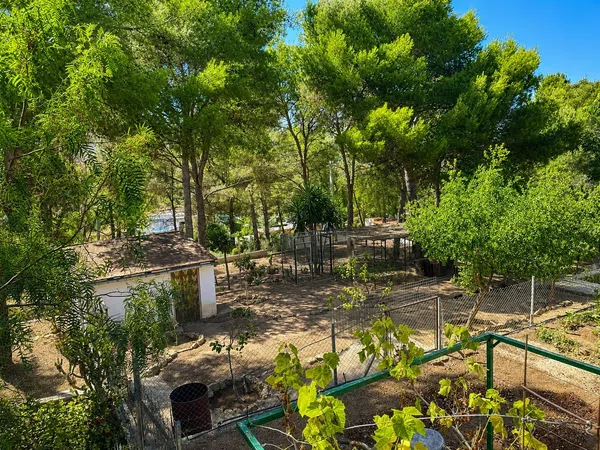 Finca rústica en Poligono 1, 513 parcela - Foto 32