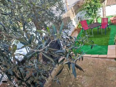 Planta baja en  Carrer Font Obrador 29 - Foto 12