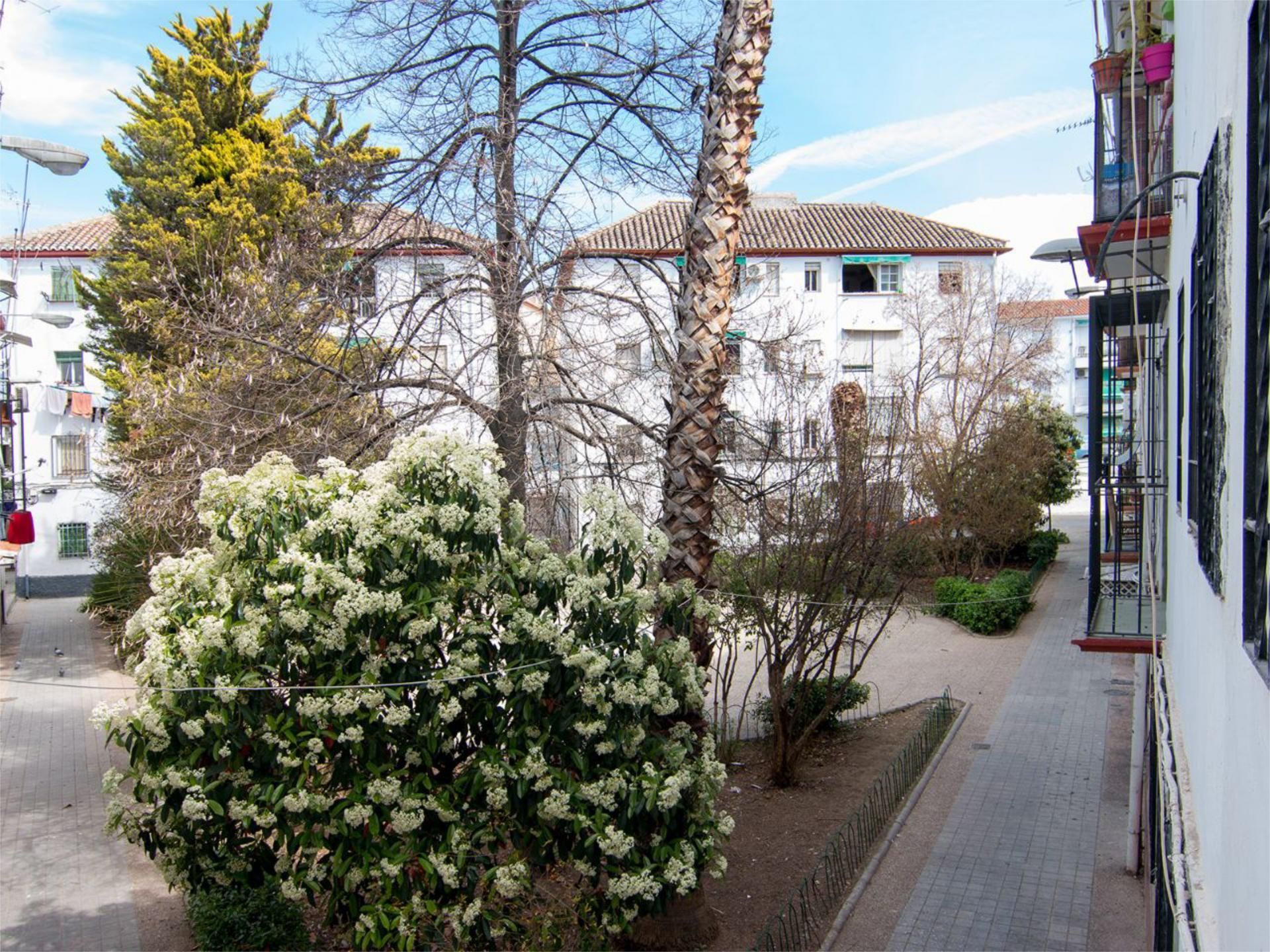 Piso en  Calle Maestro Moreno Torroba 4 - Foto 29