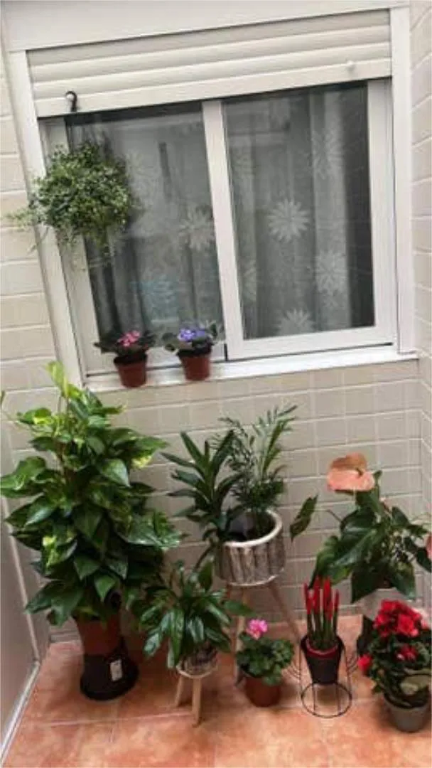 Piso en Carolinas Bajas - Foto 2