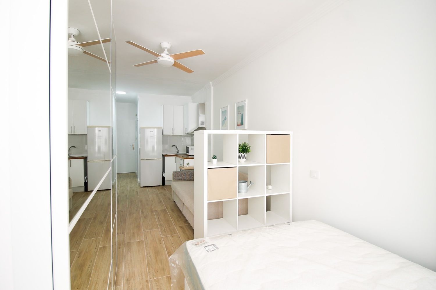 Estudio en Calle José Franchy Roca, 35 - Foto 12