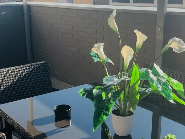 Ático en calle Río Ebro, 9