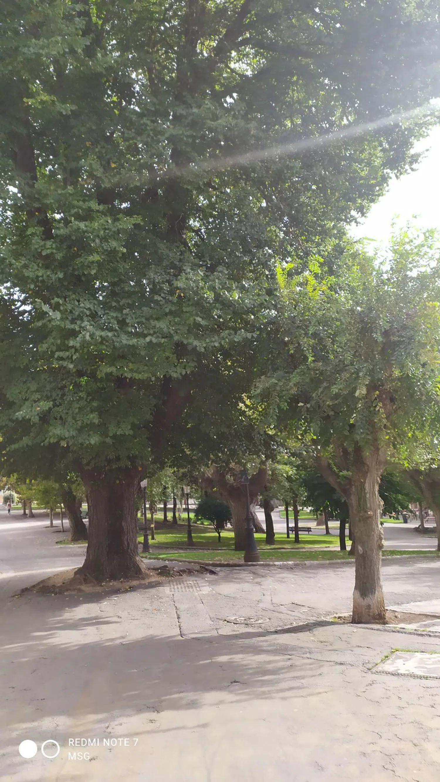 Piso en avenida Hercules, 27 - Foto 9