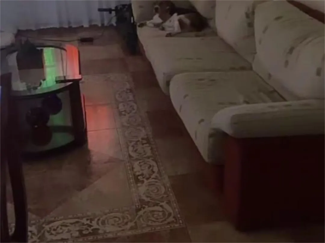 Piso en  Calle Federico Viera 32 - Foto 2