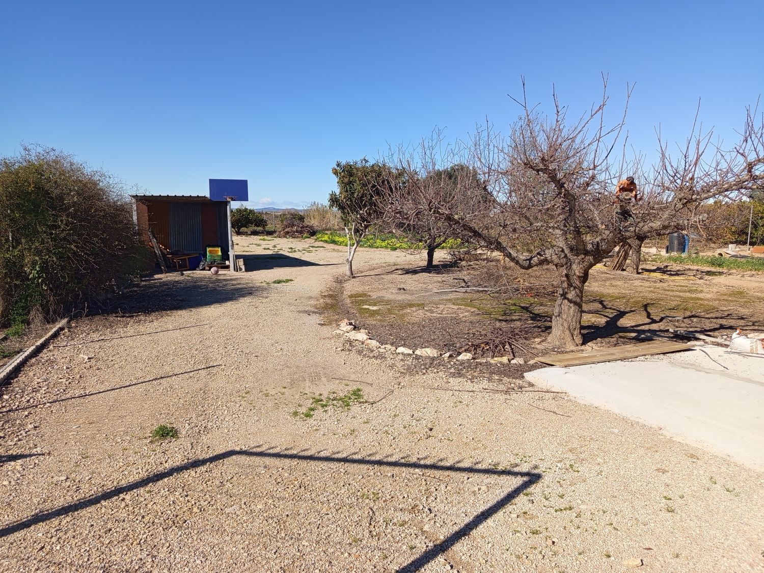Finca rústica en plaza de Sant Isidre, 15 - Foto 24