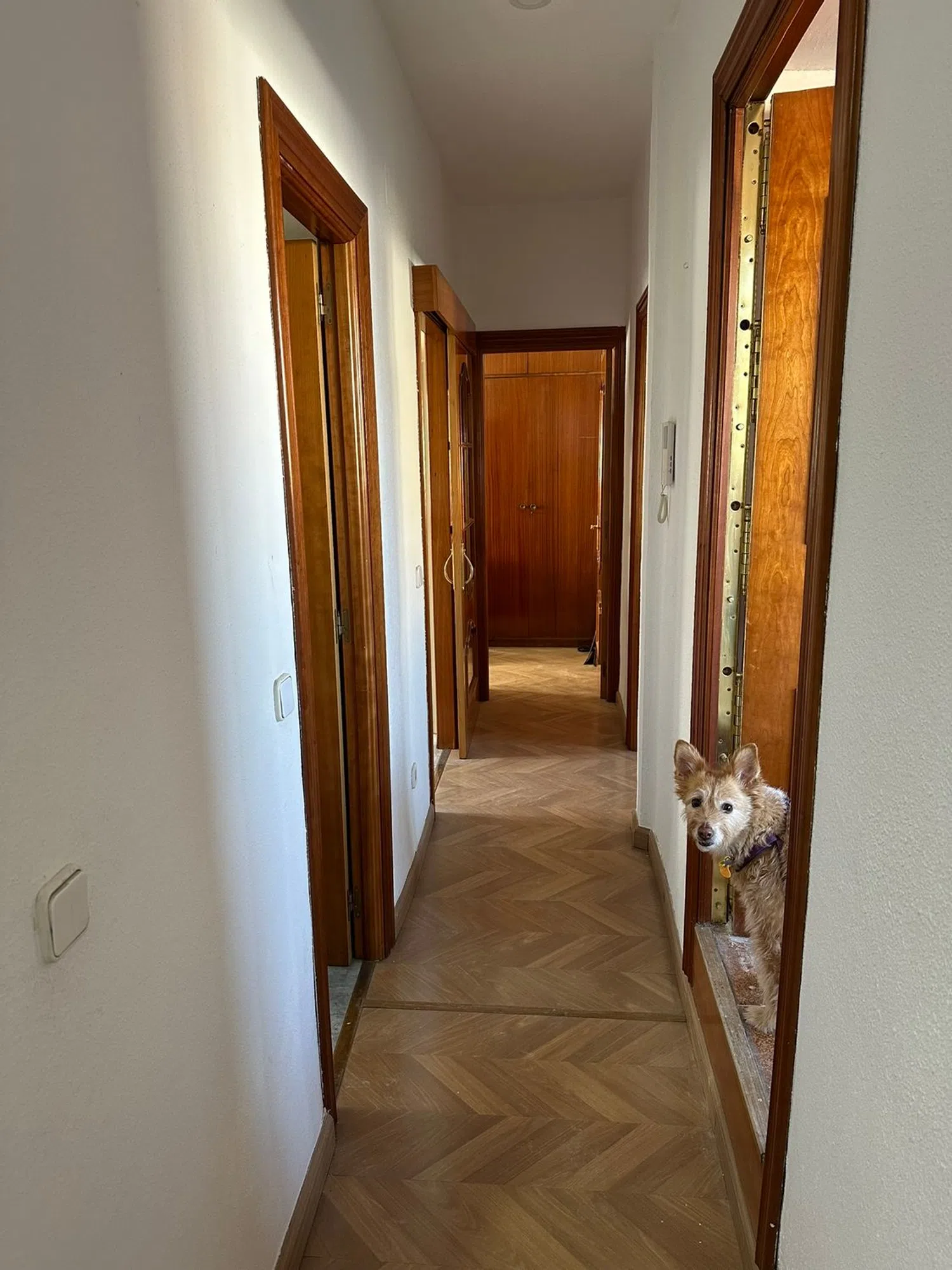 Piso en calle de Canarias, 24 - Foto 6