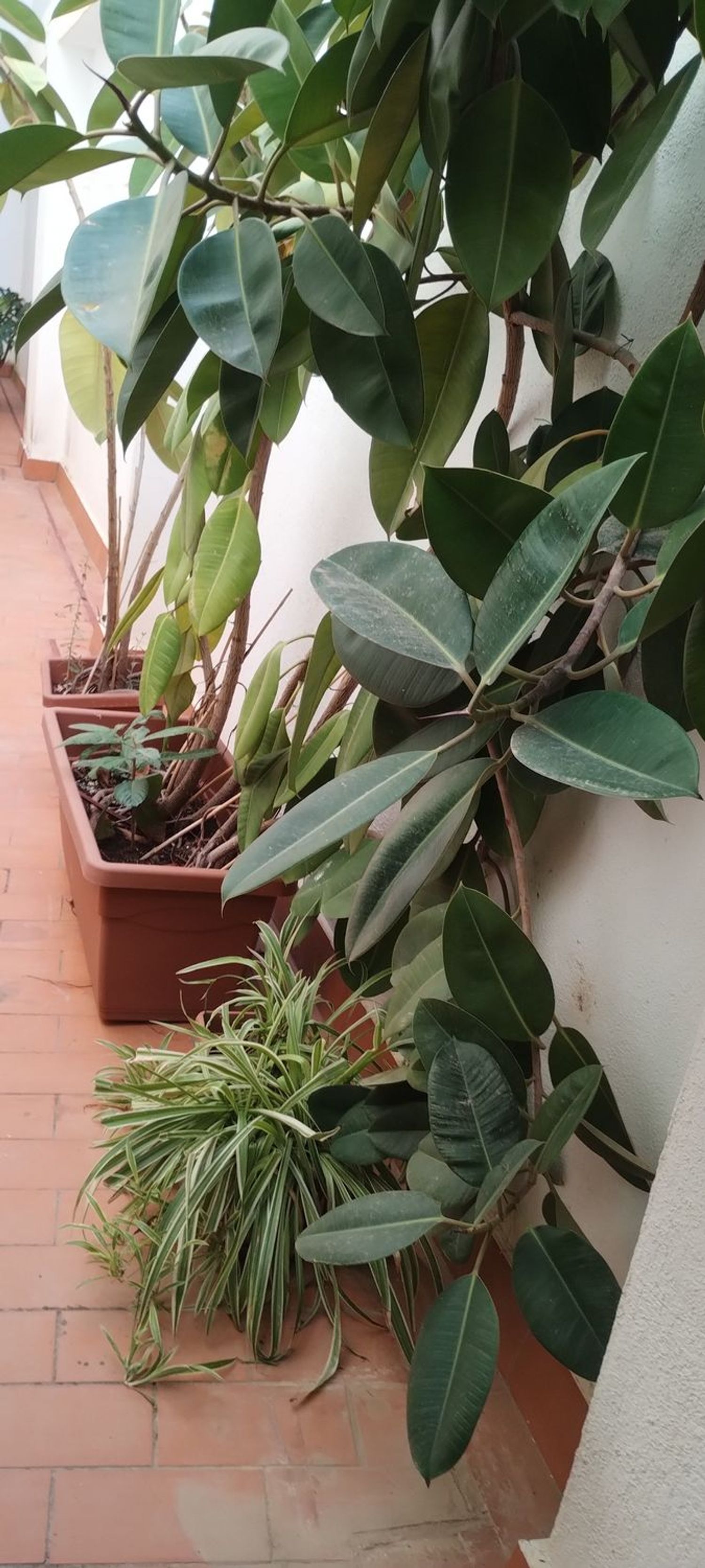 Estudio en Calle Duque de Rivas, 4 - Foto 16