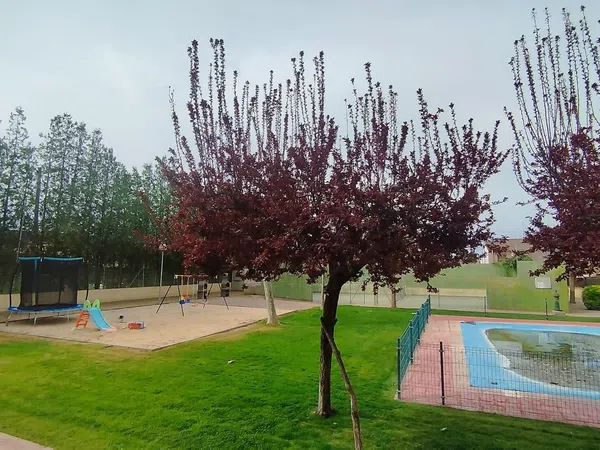 Chalet pareado en Calle Alcañizo, 7 - Foto 17