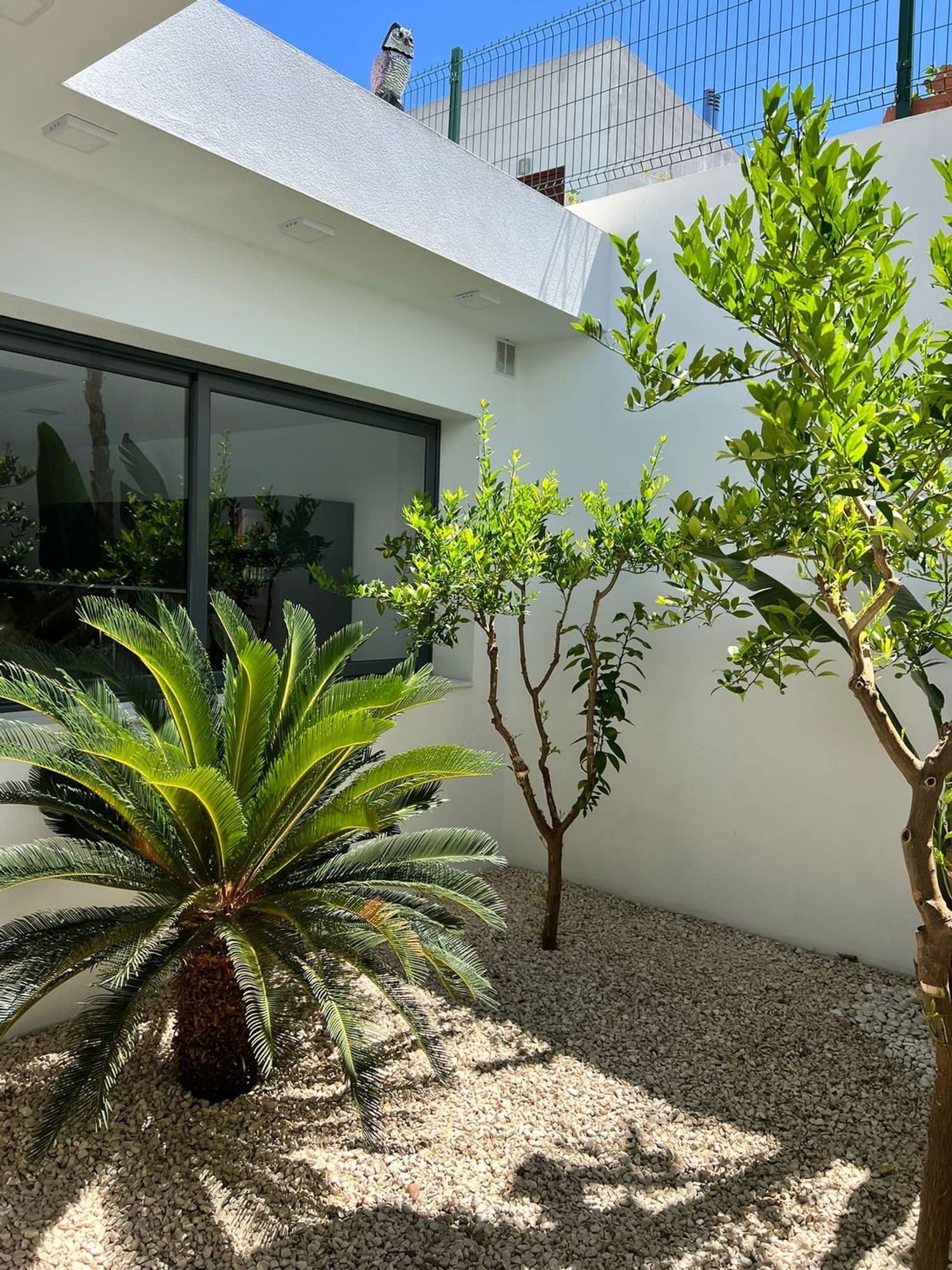 Casa o chalet independiente en Calle Genciana, 46, Olivar de Quintos, Olivar de Quintos - Foto 31
