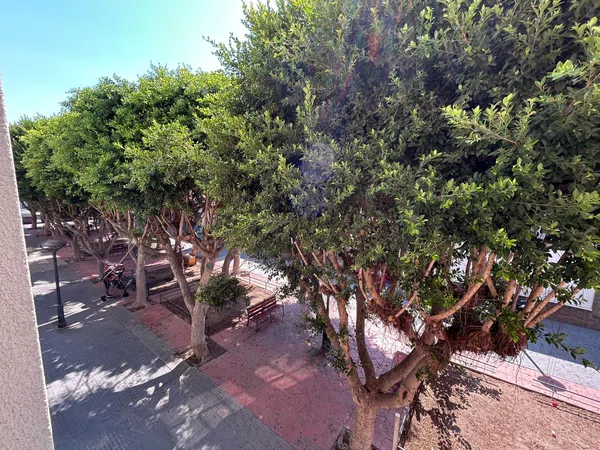 Piso en Plaza Benínar s/n, Zapillo, Zapillo - Foto 30