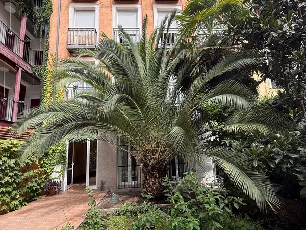 Piso en Barrio Lavapiés-Embajadores