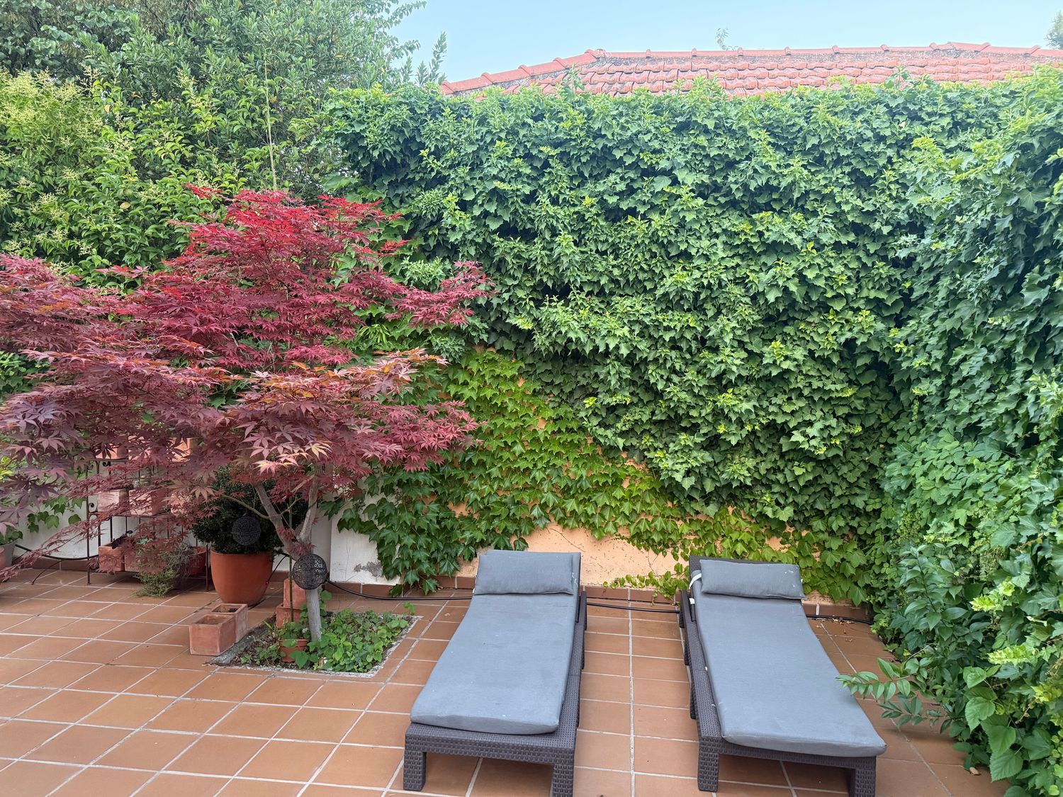 Chalet pareado en Calle Ferrocarril, 1, Zona Estación - Foto 4