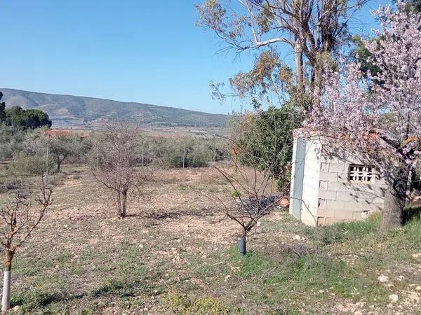 Finca rústica en Poligono 2, 121 Parcela - Foto 17