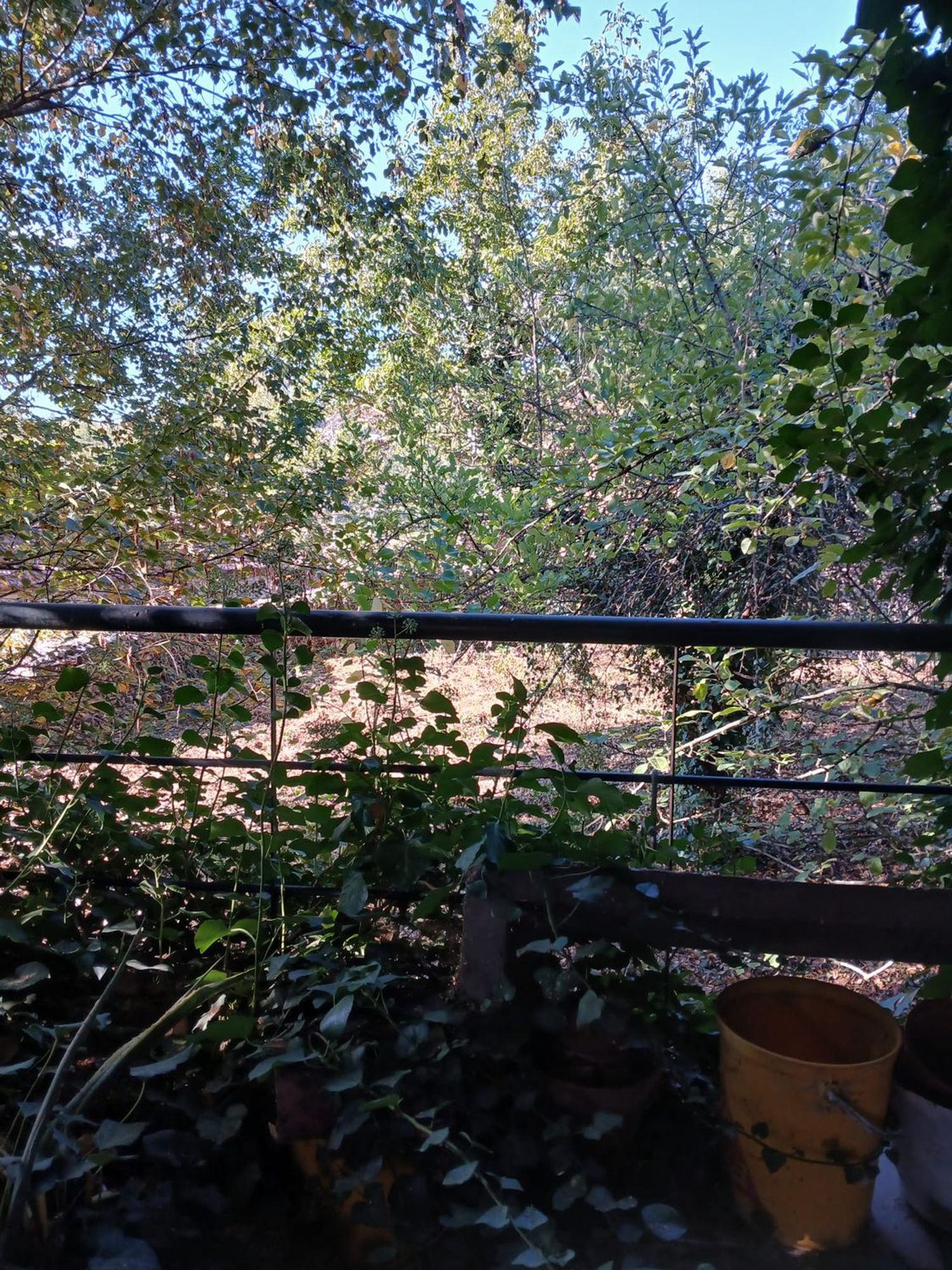 Casa de pueblo en Lg. Pepín, 29 - Foto 7