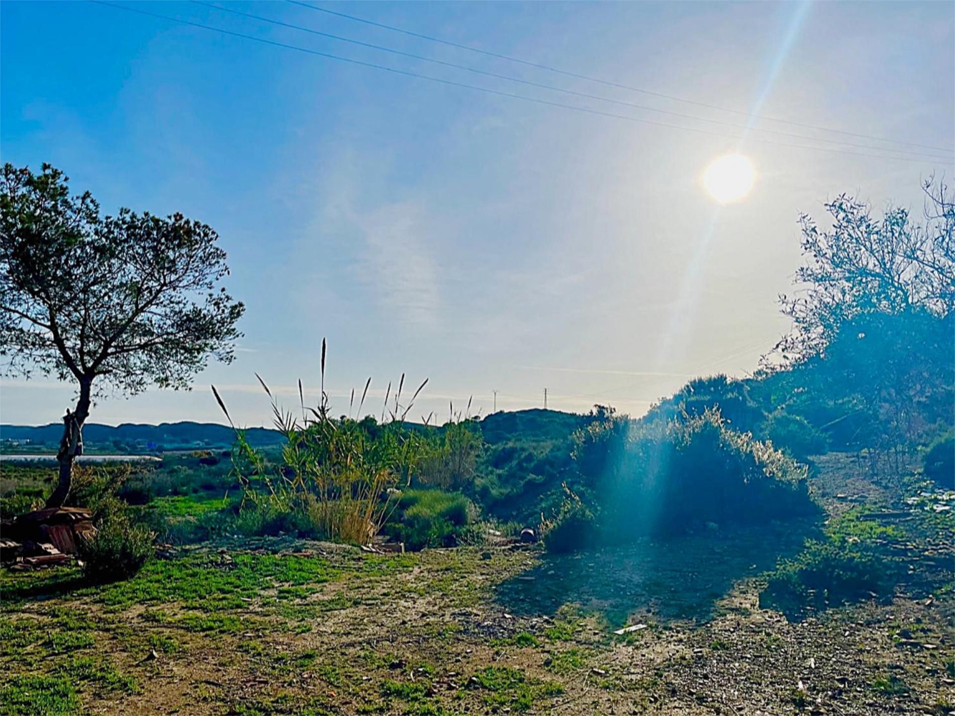 Finca rústica en  Camino Viejo de Saladas 10 - Foto 13