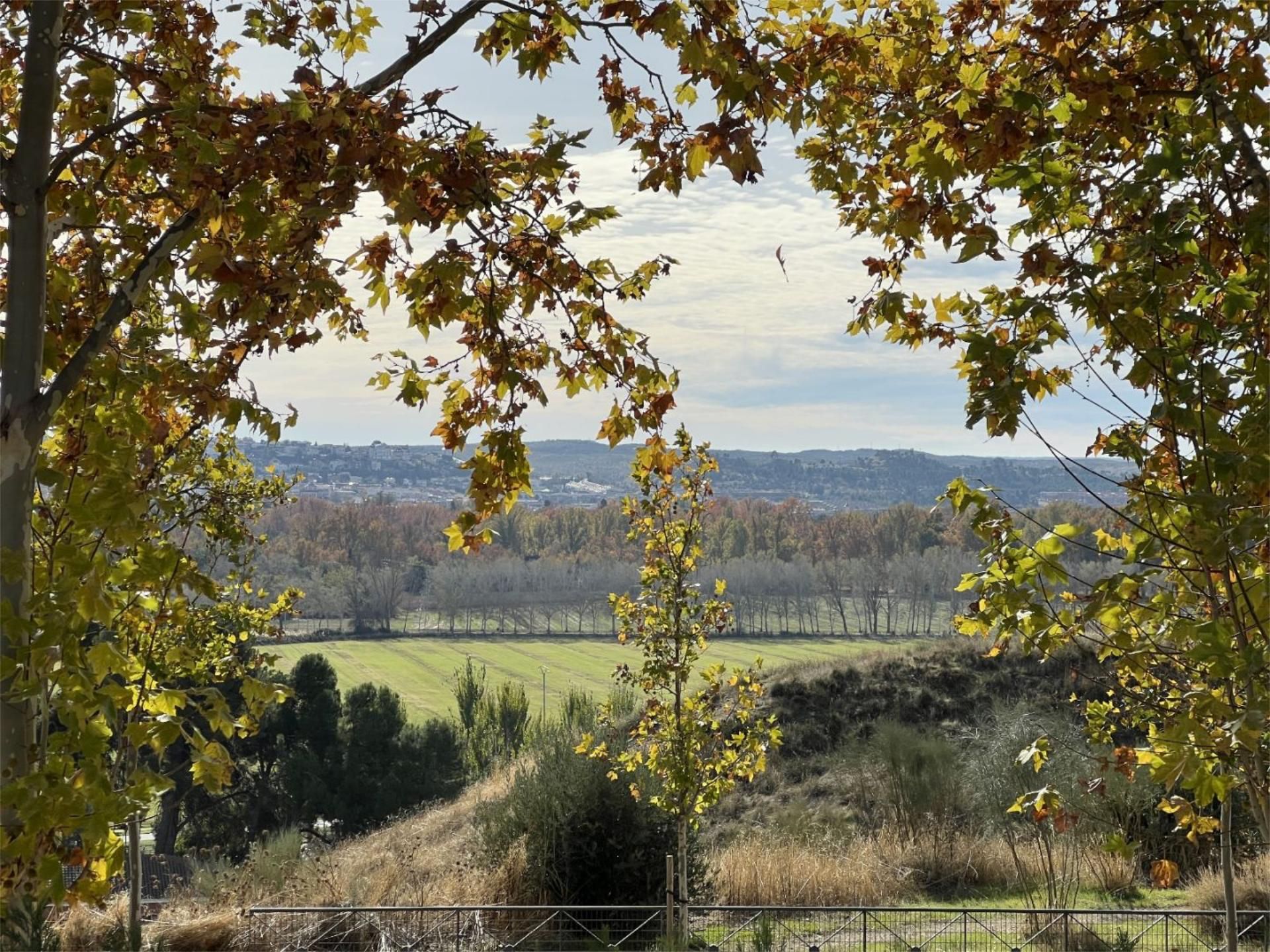 Chalet en  Calle de Islas Galapagos 40 - Foto 4