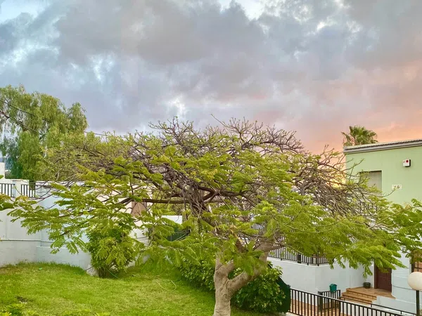 Chalet adosado en Calle Ildefonso Cruz Rodríguez, 2 - Foto 40