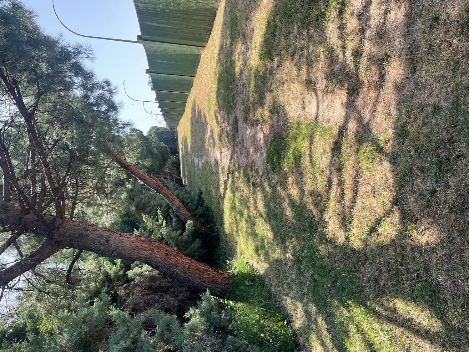 Piso en calle de Cantalejo, 6 - Foto 5