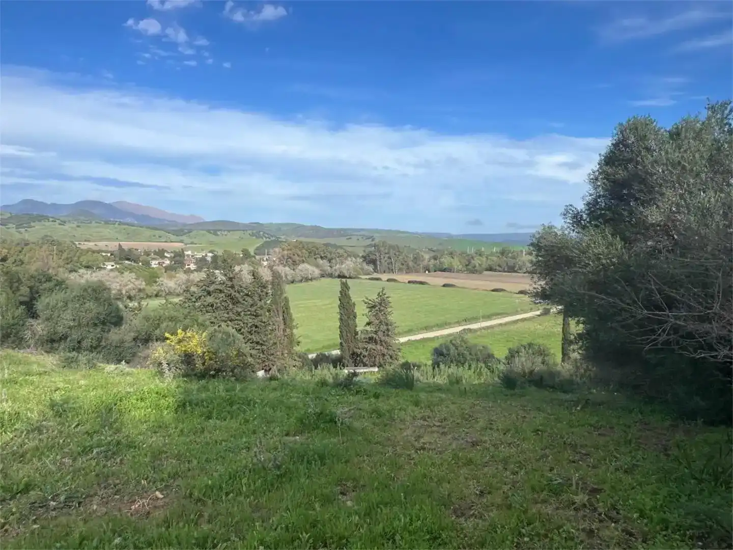 Finca rústica en  Carretera de Jimena 1 - Foto 2