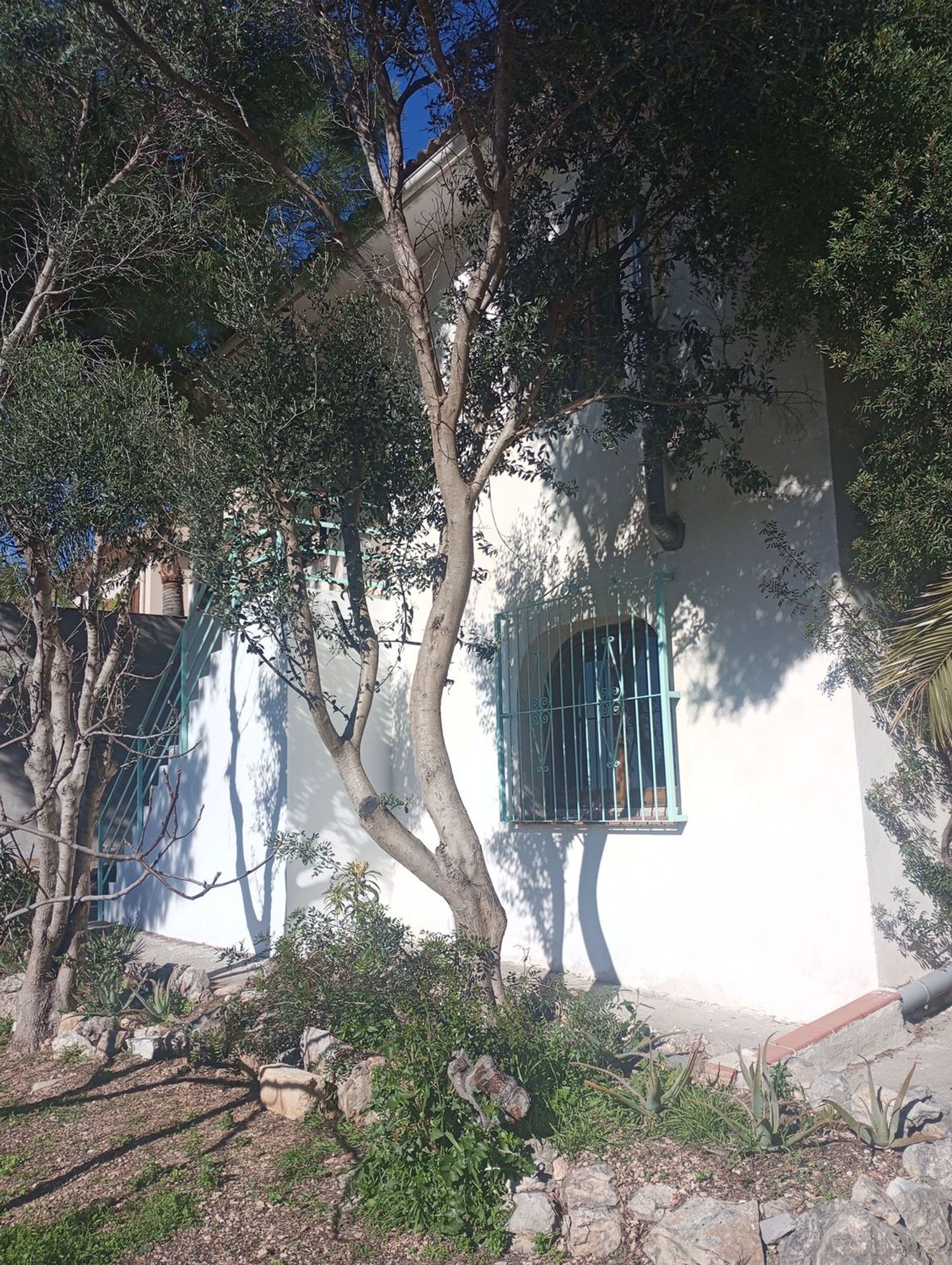 Estudio en Avenida Sardana l'Empordà, 31 - Foto 4