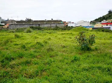 Terreno Industrial en  Calle la Trilladora 2 - Foto 9