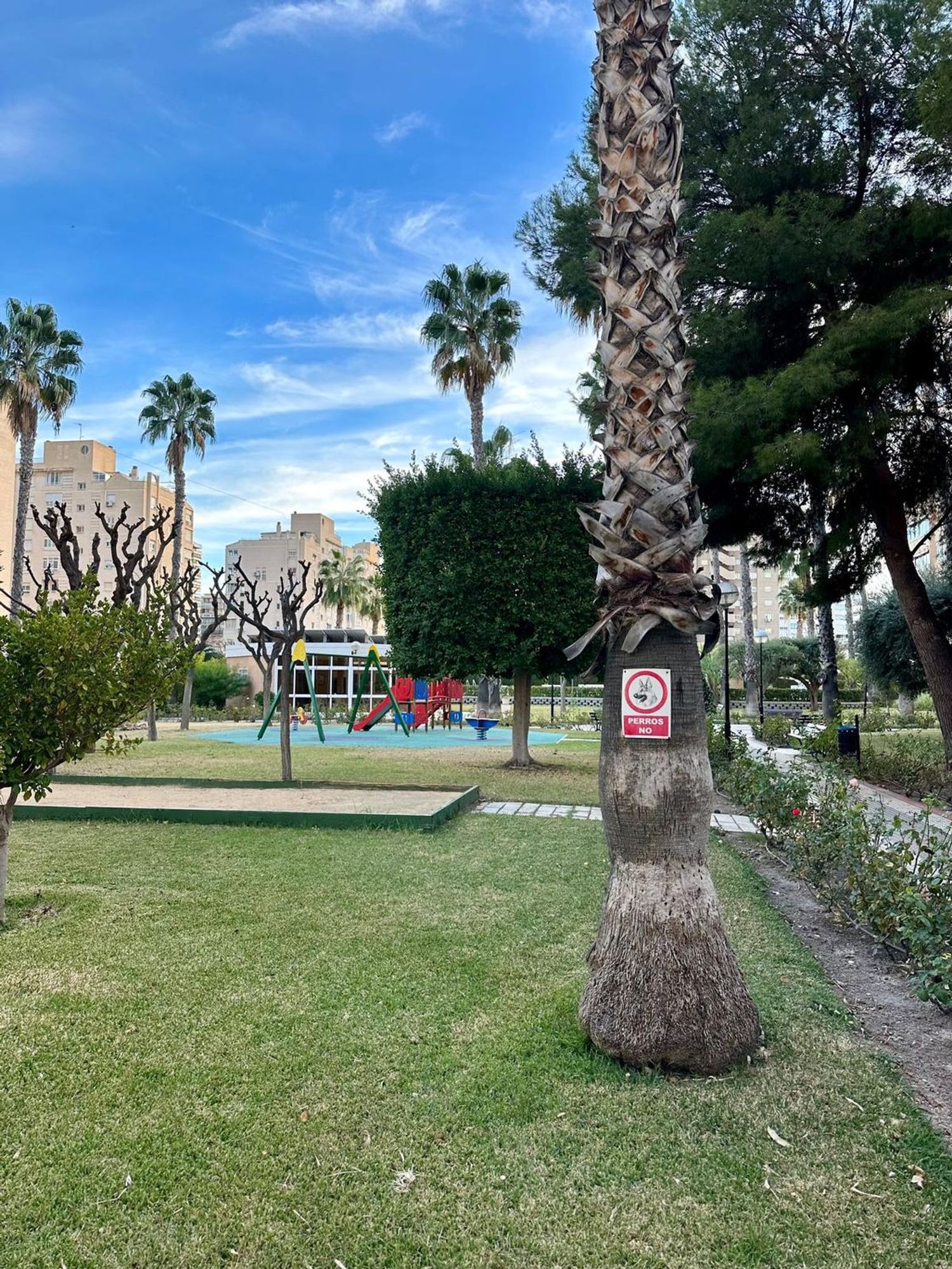 Piso en Avenida Santander, 31, Playa de San Juan - Foto 12