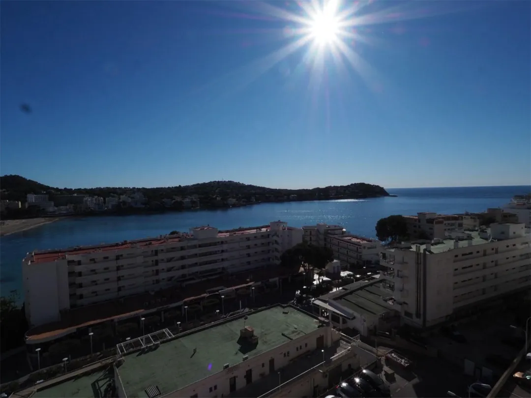 Estudio en  Carrer de Nunyo Sanç 30 - Foto 2