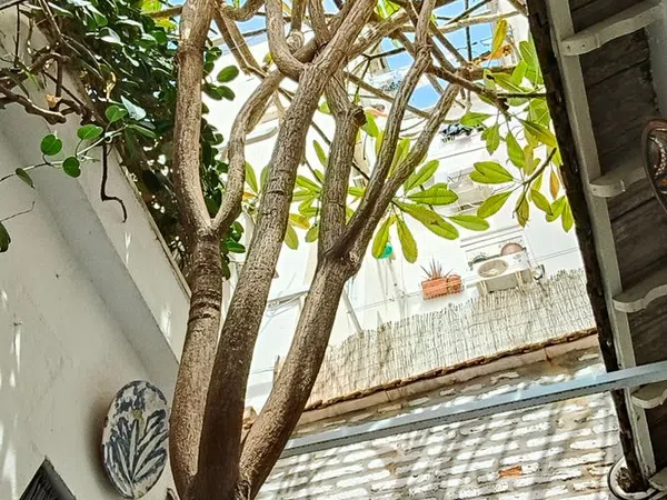 Casa independiente en calle Bailén, 24 - Foto 2