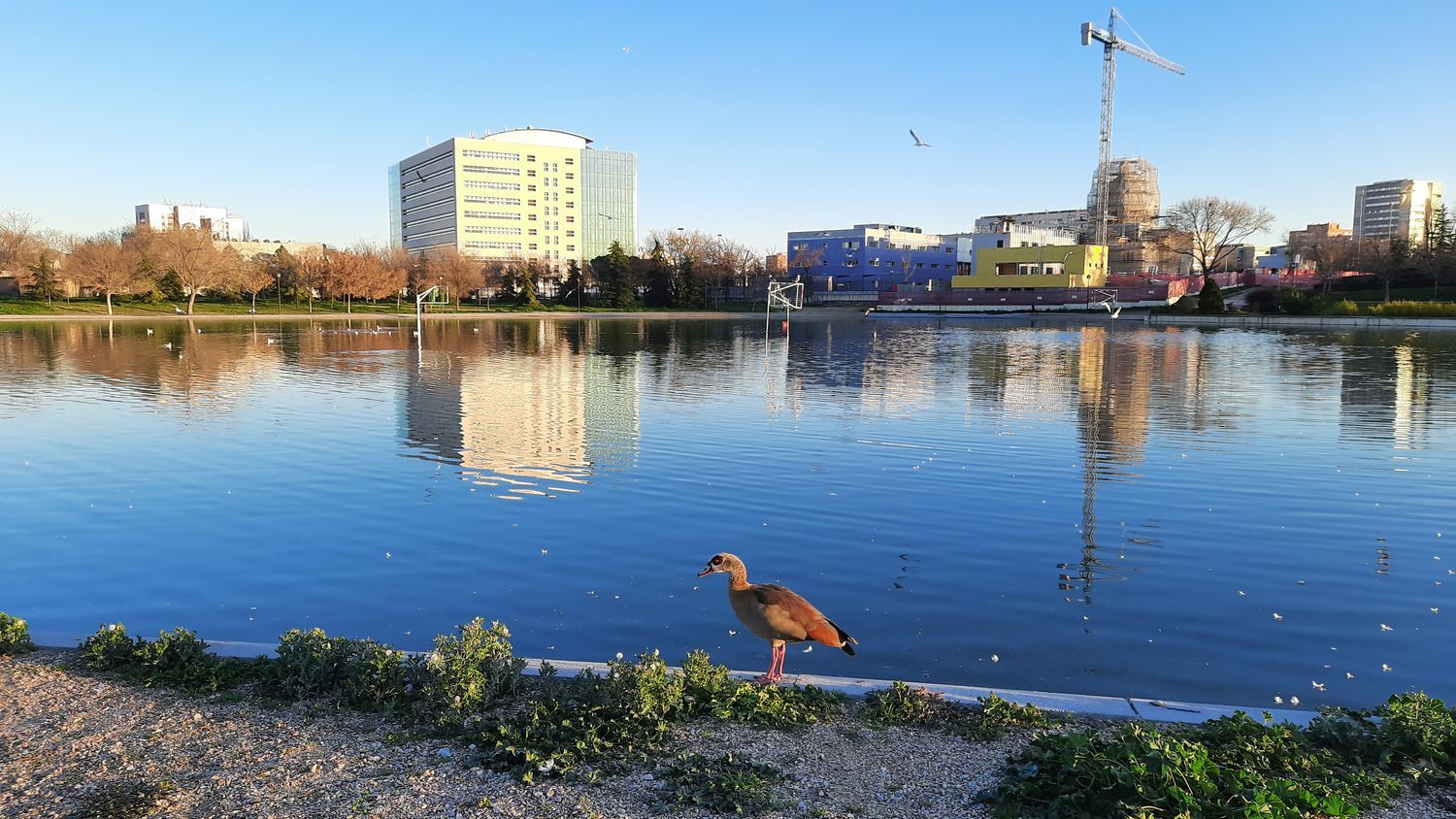 Piso en calle del Doctor Tolosa Latour, 19 - Foto 25