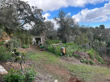 Finca rústica en  Camino Carrascoso Siete Fincas 180D - Foto 8