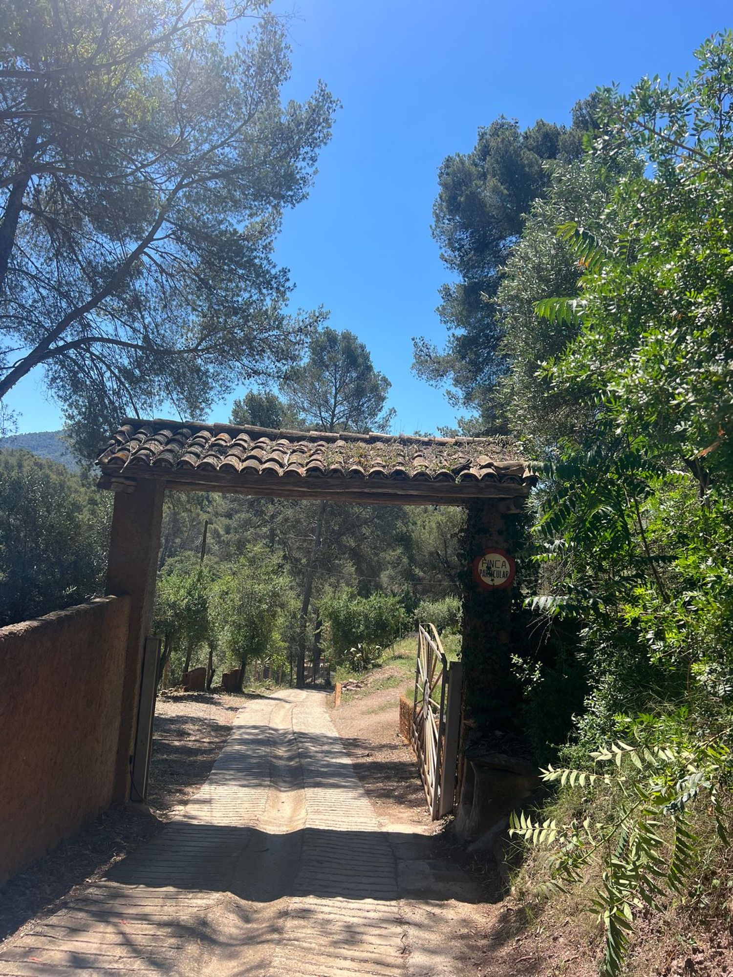 Finca rústica en Camino Can Puig s/n - Foto 15