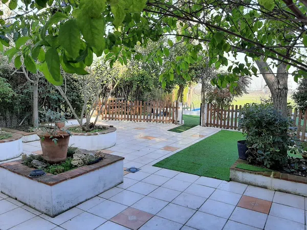 Casa o chalet independiente en Avenida del Carmen, 33 - Foto 7