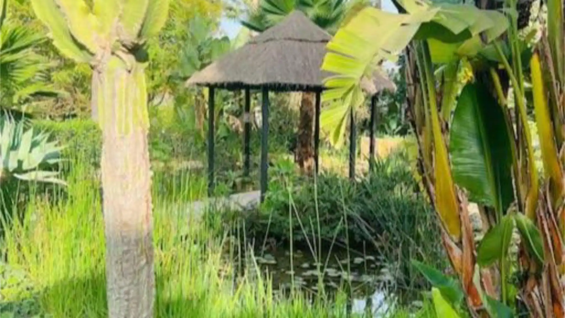 Piso en  Calle Bélgica 4 - Foto 18