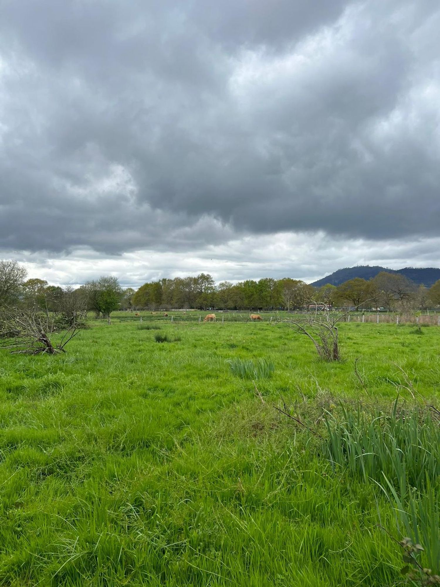 Casa rural en calle Folgueras, 26 - Foto 30